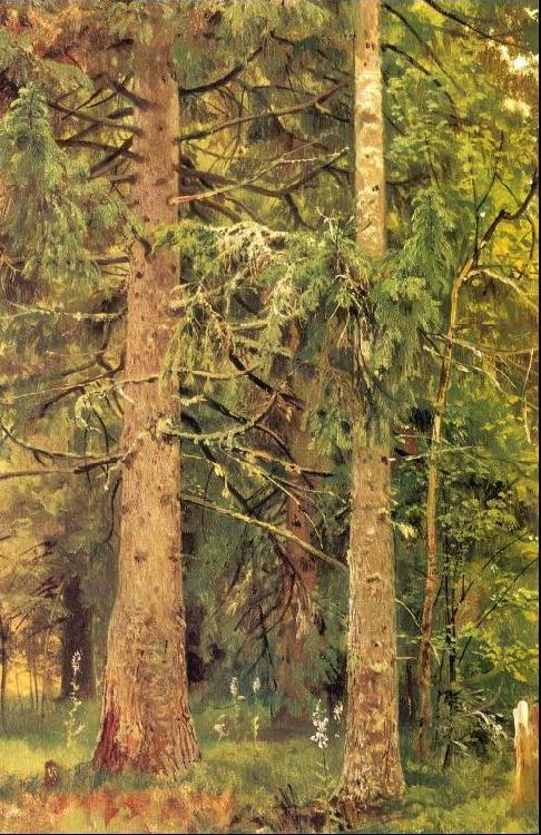 Ivan Shishkin Fir Forest oil painting image